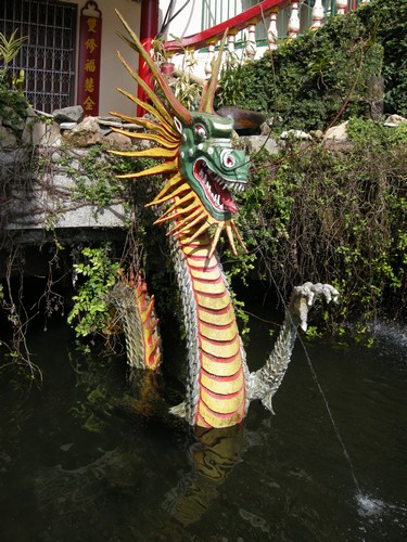 Baguio - Chinese Temple
Wasser speiender Drache
