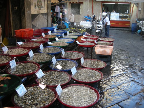 Neapel - Marktszene
Becken voller Muscheln
