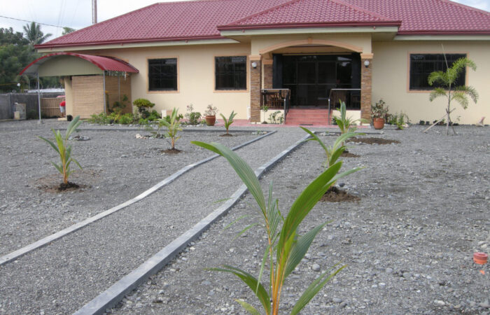 Blick auf Haus & Terrasse mit frisch gesetzten Golden Kokos Palmen