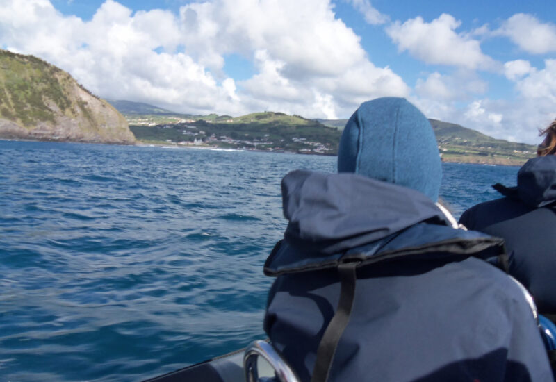 Horta Whale Watching - beim Auslaufen, Blick auf die Küste
